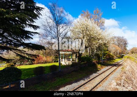 DELORAINE, AUSTRALIA - 12 2022 SETTEMBRE: La città storica rurale di Deloraine in una fredda giornata di primavera vicino a Launceston in Tasmania, Australia Foto Stock