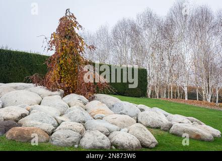 Il giardino della scultura fluida dell'artista Giuseppe Penone ai giardini di Venaria reale, Torino, Piemonte nel nord Italia - Europa - Foto Stock