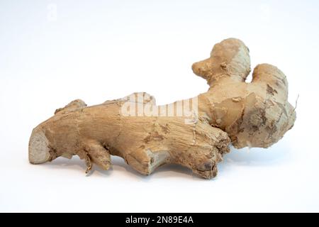 Zenzero radice isolato su uno sfondo bianco di studio. Ingrediente per una cucina sana e uno stile di vita sano. Foto Stock