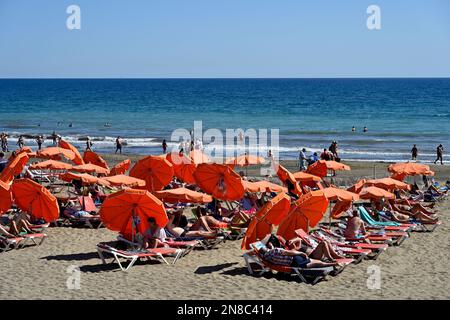 Solarium, lettini, ombrelloni sulla spiaggia di Playa del Inglés, con altri in mare, Maspalomas Foto Stock