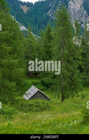 Viaggiando lungo il valico di Vrsic, Slovenia Foto Stock