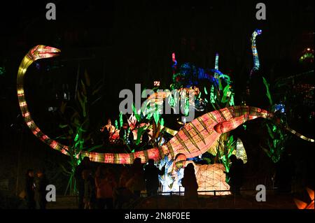 Halle, Germania. 11th Feb, 2023. 11 febbraio 2023, Sassonia-Anhalt, Halle (Saale): Visitatori del 'Magical Worlds of Light' a Bergzoo Halle di fronte a un gigantesco dinosauro nuotatore. Le figure luminose mostrano tutti gli avvenimenti preistorici del mondo animale. Con il motto "Lost Worlds", questo straordinario spettacolo di luci può essere visto fino al 25 febbraio. Foto: Heiko Rebsch/dpa/ZB Credit: dpa picture Alliance/Alamy Live News Foto Stock