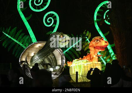 Halle, Germania. 11th Feb, 2023. 11 febbraio 2023, Sassonia-Anhalt, Halle (Saale): I piccoli dinosauri schiudono dalle loro uova. Le figure fanno parte della mostra 'Magical Worlds of Light' a Bergzoo Halle. Le figure luminose mostrano tutti gli avvenimenti preistorici del mondo animale. Con il motto "Lost Worlds", questo straordinario spettacolo di luci può essere visto fino al 25 febbraio. Foto: Heiko Rebsch/dpa Credit: dpa Picture Alliance/Alamy Live News Foto Stock