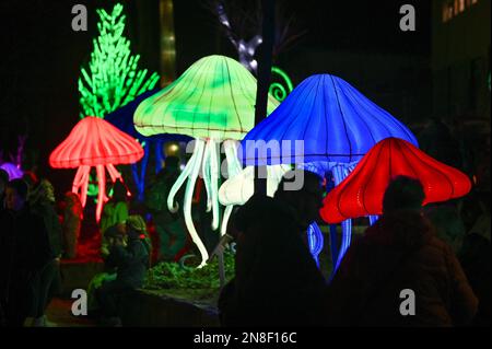 Halle, Germania. 11th Feb, 2023. 11 febbraio 2023, Sassonia-Anhalt, Halle (Saale): Meduse giganti fanno parte della mostra 'Magical Worlds of Light' a Bergzoo Halle. Le figure luminose mostrano tutti gli avvenimenti preistorici del mondo animale. Con il motto "Lost Worlds", questo straordinario spettacolo di luci può essere visto fino al 25 febbraio. Foto: Heiko Rebsch/dpa Credit: dpa Picture Alliance/Alamy Live News Foto Stock