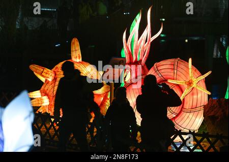 Halle, Germania. 11th Feb, 2023. 11 febbraio 2023, Sassonia-Anhalt, Halle (Saale): Gli ammoniti giganti fanno parte della mostra 'Magical Worlds of Light' a Bergzoo Halle. Le figure luminose mostrano tutti gli avvenimenti preistorici del mondo animale. Con il motto "Lost Worlds", questo straordinario spettacolo di luci può essere visto fino al 25 febbraio. Foto: Heiko Rebsch/dpa Credit: dpa Picture Alliance/Alamy Live News Foto Stock