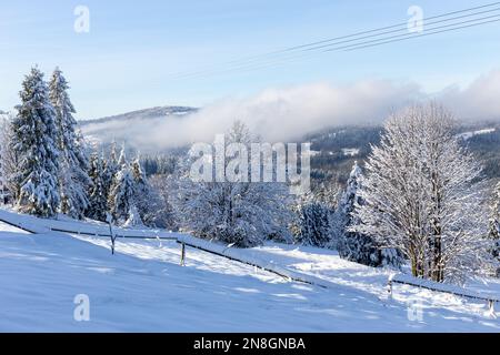 Paesaggio invernale dei Monti Beskid in Polonia, foresta e glade di montagna con recinzione in legno ricoperta di neve fresca bianca, montagne e nuvole. Foto Stock
