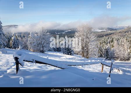 Paesaggio invernale dei Monti Beskid in Polonia, foresta e glade di montagna con recinzione in legno ricoperta di neve fresca bianca, montagne e nuvole. Foto Stock
