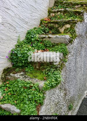 A pochi passi di distanza dal vecchio edificio di Ollon Svizzera. Foto Stock