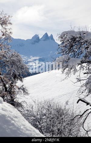 Aiguilles d'Arves, vista da Jarrier, Maurienne, Savoia, Francia, Europa Foto Stock