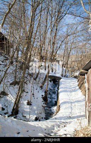 Fiume congelato in inverno, Jarrier, Maurienne, Savoia, Francia Foto Stock