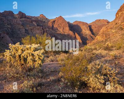 Arch Canyon, Ajo Mountain Drive, Organ Pipe Cactus National Monument, Arizona. Foto Stock