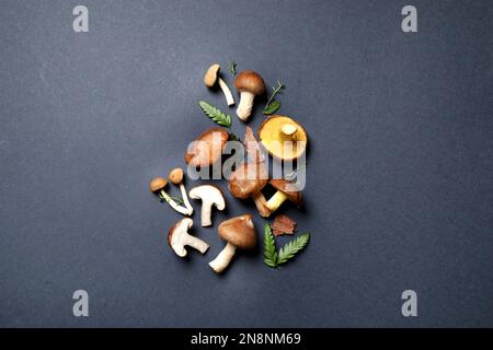 Composizione piatta con funghi diversi su fondo grigio Foto Stock