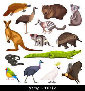 Animali australiani set di koala canguro coccodrillo lizard volante volpe cane selvaggio dingo platypus echidna wombat intorat cassowary personaggi del cartone animato isolat Illustrazione Vettoriale