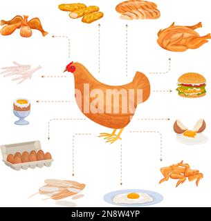 Prodotti di pollo composizione piatta con set di alimenti isolati per pollame che indicano l'immagine dell'illustrazione del vettore di gallina da allevamento Illustrazione Vettoriale