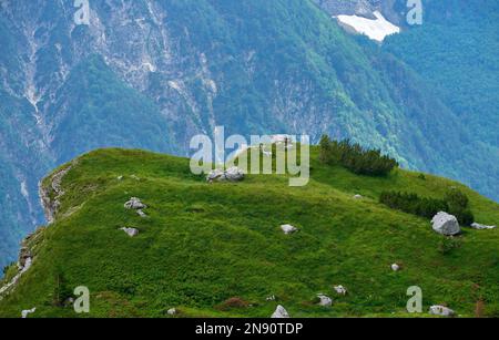 Vista sul passo di Mangartsko Sedlo, Slovenia Foto Stock
