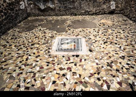 Pavimento in piastrelle a mosaico ben conservato nella Casa del Fauno nell'antica città romana di Pompei Foto Stock