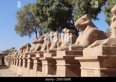 Viale di arieti all'ingresso del tempio di Karnak a Luxor, Egitto Foto Stock