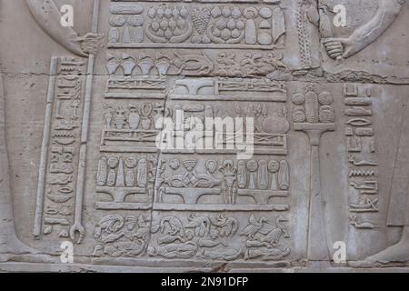 Rilievi murali ben conservati al tempio Kom Ombo ad Assuan, Egitto Foto Stock