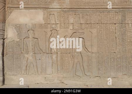 Rilievi murali ben conservati al tempio Kom Ombo ad Assuan, Egitto Foto Stock