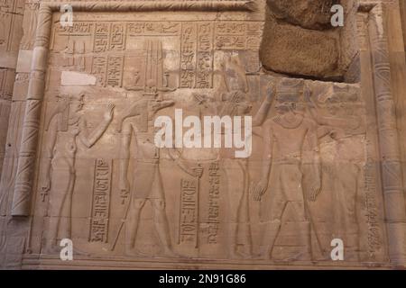 Rilievi murali ben conservati al tempio Kom Ombo ad Assuan, Egitto Foto Stock