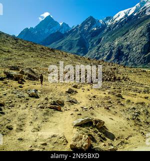 Pastore con pecore vicino Skardu vicino al ghiacciaio Baltoro trekking a K2 campo base, Gilgit-Baltistan territorio nel nord del Pakistan. Pakistan. Foto Stock