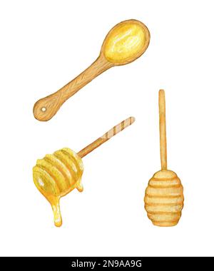 Cucchiaio di miele. Set di cucchiai di legno acquerello con miele. Dolci al miele, salute, prodotto biologico. Piatti. Foto Stock