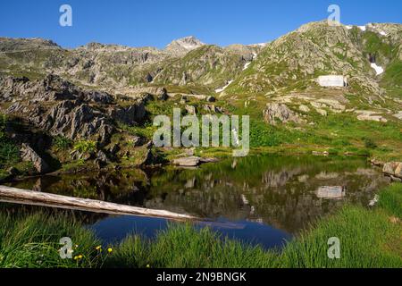 Idilliaca vista mattutina di un laghetto con un tronco di albero sul passo del Grimselpass in Svizzera Foto Stock