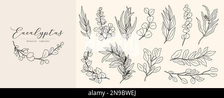 Disegno linea eucalipto Stampa Set illustrazioni vettoriali Illustrazione Vettoriale