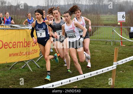 Belga Chloe Herbiet, inglese Sarah Astin e belga Lisa Rooms foto in azione durante la gara femminile al CrossCup cross corsa atletica evento a Diest, la quinta tappa del concorso CrossCup, domenica 12 febbraio 2023. FOTO DI BELGA JILL DELSAUX Foto Stock