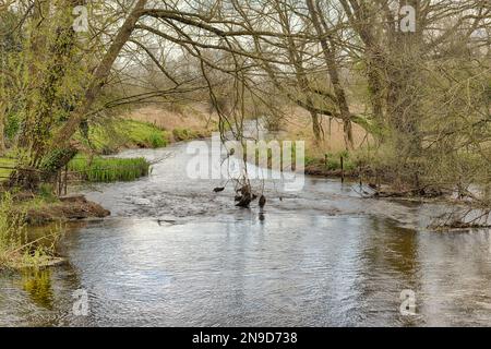Il fiume Wensum visto dal pub di Sculthorpe Mill, Norfolk settentrionale Foto Stock