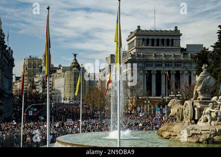 Piazza Cibele, Madrid, Spagna. 12th Feb, 2023. Dimostrazione a favore della salute pubblica. Centinaia di cittadini della Comunità di Madrid si sono dimostrati contrari alla politica dei tagli alla salute del loro presidente Isabel Diaz Ayuso e a favore della salute pubblica. Credit: EnriquePSans/Alamy Live News Foto Stock