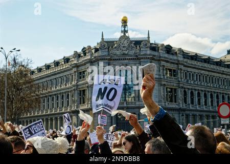 Piazza Cibele, Madrid, Spagna. 12th Feb, 2023. Dimostrazione a favore della salute pubblica. Centinaia di cittadini della Comunità di Madrid si sono dimostrati contrari alla politica dei tagli alla salute del loro presidente Isabel Diaz Ayuso e a favore della salute pubblica. Credit: EnriquePSans/Alamy Live News Foto Stock