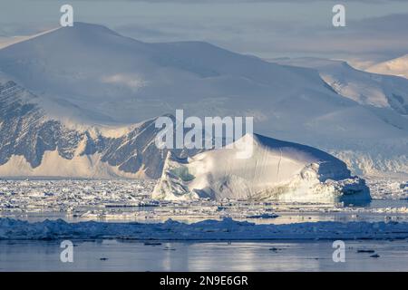 La mattina presto luce su iceberg e montagne, Capo Adare, Antartide Foto Stock