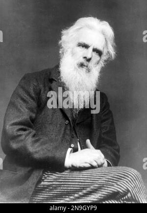 Eadweard Muybridge, Eadweard Muybridge (1830 – 1904, Edward James Muggeridge, fotografo inglese Foto Stock