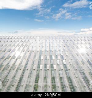 Serre agricole industriali per la coltivazione di ortaggi. Vista aerea Foto Stock