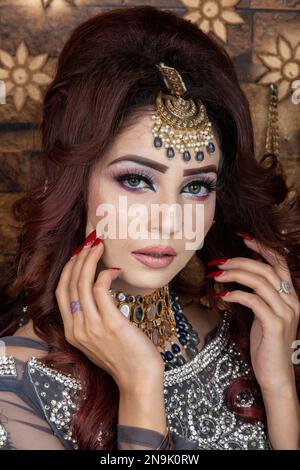 Sposa indiana vestita con abiti da sposa tradizionali. Foto Stock