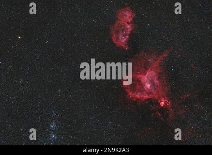 Il cuore Nebula (nebulosa cane da corsa), una nebulosa di emissione, 7500 anni luce lontano dalla Terra Foto Stock