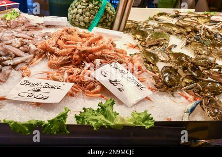 Primo piano della cattura della giornata alla Loggia del mercato ittico di Rialto con calamari, granchi, scampi e vongole, Venezia, Veneto, Italia Foto Stock