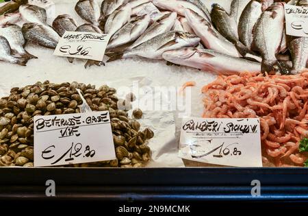 Primo piano delle catture della giornata al mercato del pesce di Rialto con gamberi, vongole e orate di mare, Venezia, Veneto, Italia Foto Stock