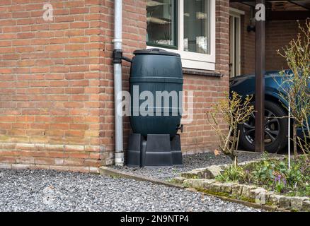 Barile di pioggia di fronte a una casa moderna, serbatoio di acqua piovana per raccogliere l'acqua piovana e riutilizzarla in giardino Foto Stock