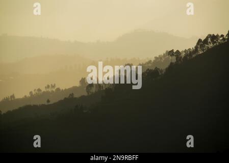 Creste di montagna sagomate e giungla al tramonto; Ruanda Foto Stock