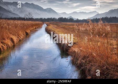 DE - BAVIERA: Murnauer Moos Parco Naturale, Oberbayern Foto Stock