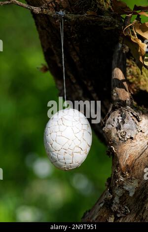 Dipinto uovo di pasqua appeso ad un albero nella foresta Foto Stock