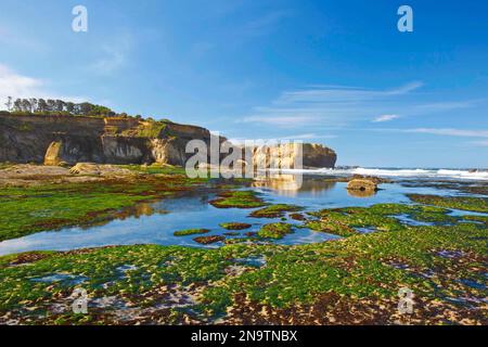 La bassa marea e le formazioni rocciose a Otter la spiaggia di roccia; Oregon, Stati Uniti d'America Foto Stock