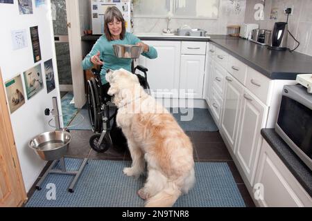 Donna disabile in sedia a rotelle la preparazione di cibo per il suo cane Foto Stock