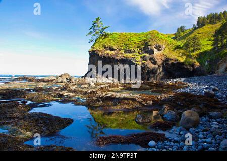 Formazioni di bassa marea e roccia a Otter Rock Beach, guardando a nord fino a Cape Foulweather; Oregon, Stati Uniti d'America Foto Stock