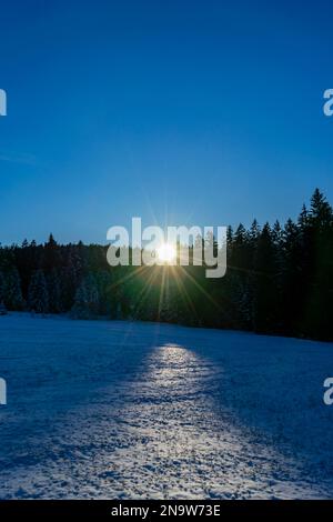 Gli ultimi raggi del giorno brillano attraverso le cime degli alberi su un campo di neve Foto Stock