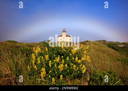 Coquille River Light sulla costa dell'Oregon con erba e fiori selvatici in un campo in primo piano e un debole arcobaleno nel cielo sopra il faro Foto Stock