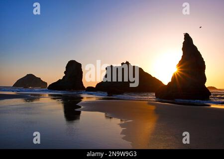 Formazioni rocciose sagomate su Bandon Beach al tramonto durante la bassa marea, costa dell'Oregon; Oregon, Stati Uniti d'America Foto Stock