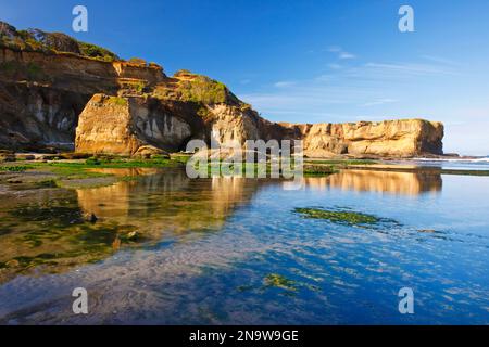 Bassa marea e formazioni rocciose a Otter Rock Beach in una luminosa giornata di sole lungo la costa dell'Oregon; Oregon, Stati Uniti d'America Foto Stock